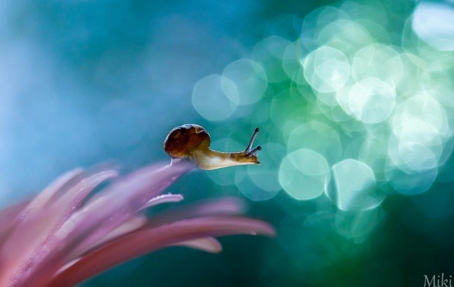 Photo by {link:http://500px.com/photo/46684336}Miki Asai{/link}