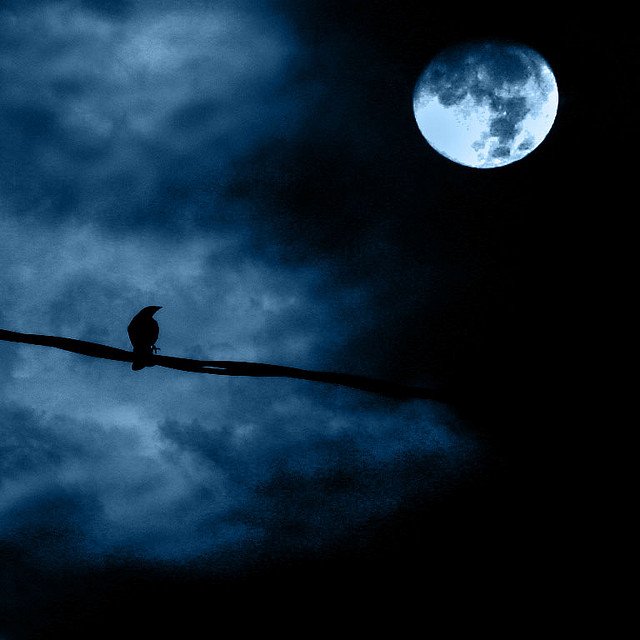 月亮當然是夜景不可缺少的題材，但留意要找尋合適的前景，相片才會拍得漂亮。 Photo by {link:https://www.flickr.com/photos/luchilu/677786684}Luz Adriana Villa{/link}