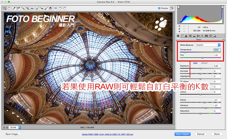 使用免費的 Adobe RAW Editor