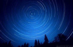 star_trail_tree_silhouette_night_sky1 Photo by bfv