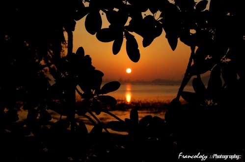 dsc_0701 By Franco