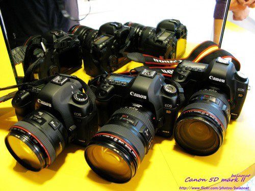 3120129315_3bacc52aae_b-500x375