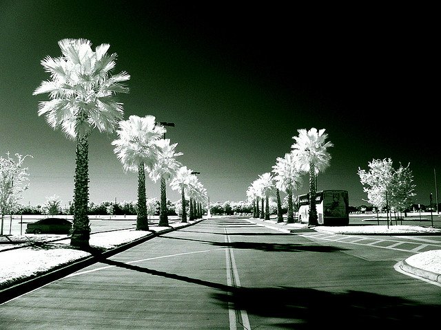 其他偏色狀況, Photo by {link:http://www.flickr.com/photos/moonauto/4116877962/}Mauro Luna{/link}