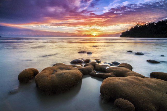 Photo by Sham Kam