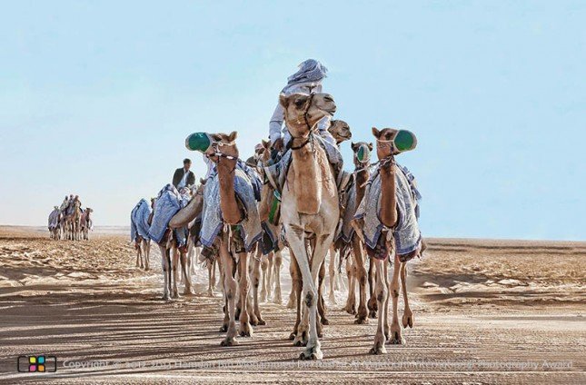 Mansour Al Manaei - United Arab Emirates