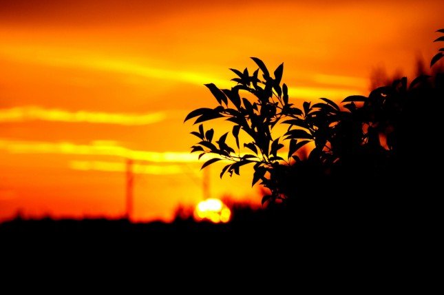 嘗試利用其他東西來襯托出夕陽。(Photo by Kamil Porembiński)