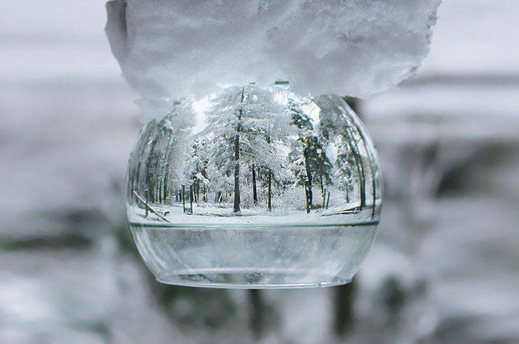 Photo by unknown