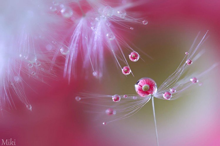 Photo by {link:http://500px.com/mikichobi}Miki Asai{/link}