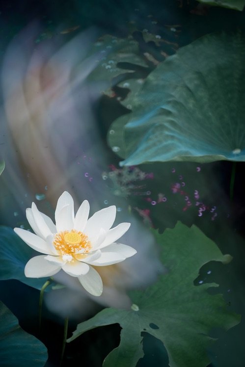 重曝結果